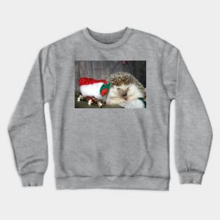 Christmas Hedgehog Crewneck Sweatshirt